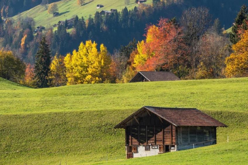 Gehrihornblick - foto 15