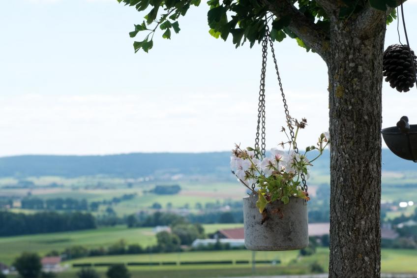 Fewo. Liebelt - foto 34