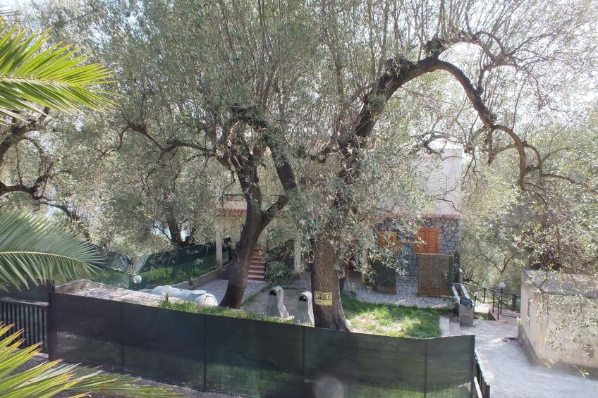 Strandnahe Wohnung in Pisciotta mit Grill - foto 41