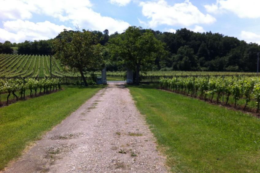 Schloss mit Überlaufpool an der Dordogne - foto 31