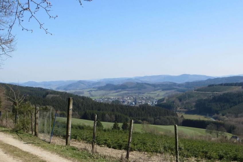287995 - foto 37