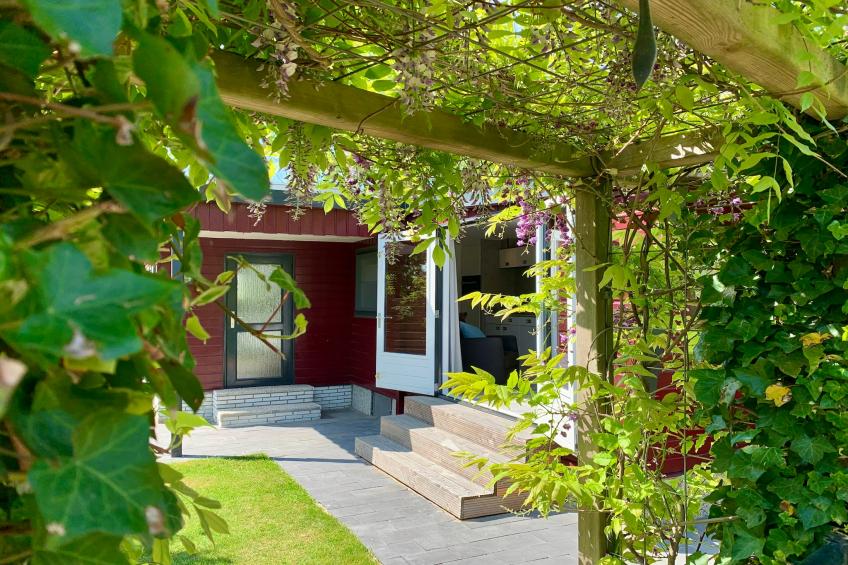 Campanula 211 - foto 2