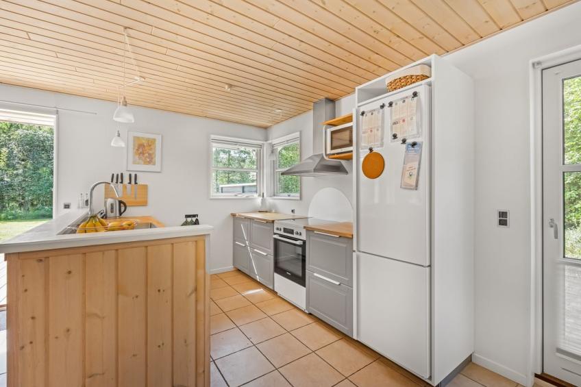 "Filimena" - 350m from the sea in NE Jutland - foto 26