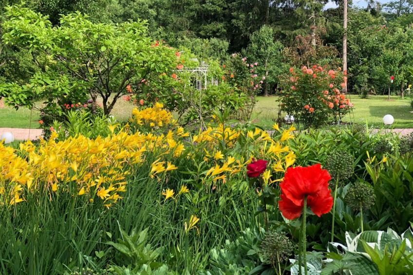 Ferienbungalow Anne - foto 22