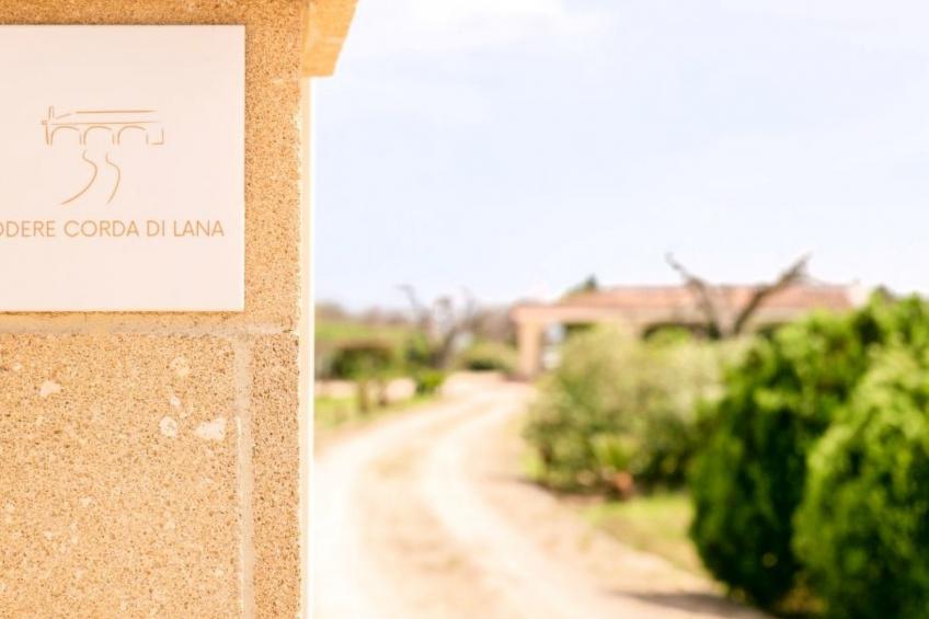 VILLA MIT POOL - PODERE CORDA DI LANA - foto 21