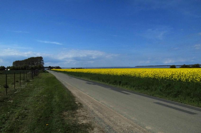 Wohnung in Dreveskirchen mit Kleinem Garten - foto 38