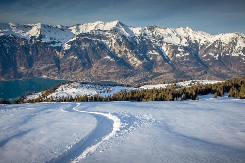 Chalet Specht - foto 21