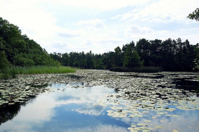 Holzhaus Juhas - foto 35