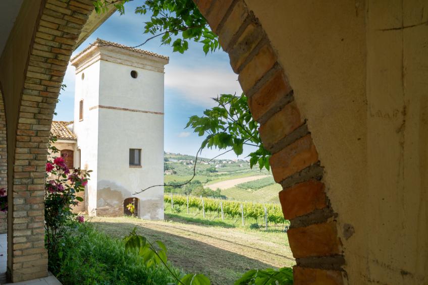 Torretta - foto 4