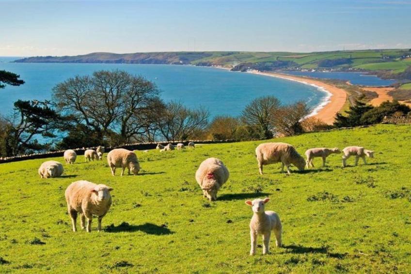 Oak Tree Lodge - foto 23