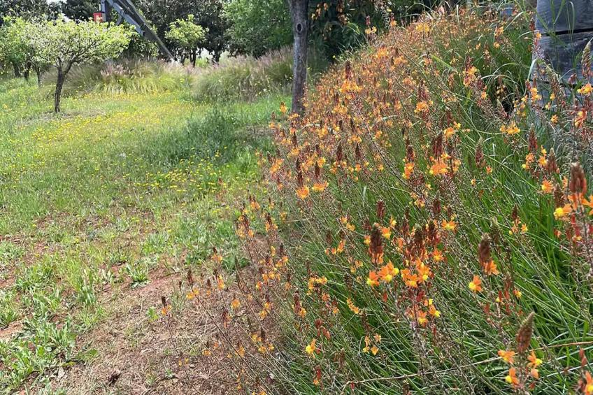 Quinta da Fragura - foto 36