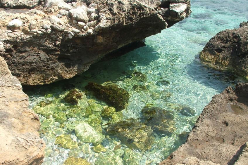 Wohnung in Custonaci mit Kleinem Garten - foto 32