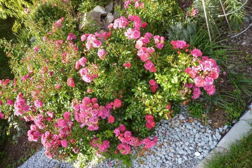 Appartement mit Terrasse - foto 32