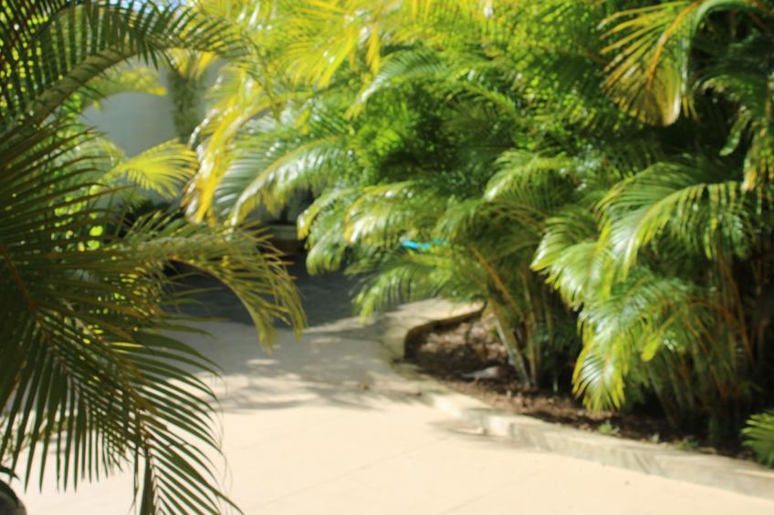 VIllakapy Ideal für Rentnerinnen und Rentner - foto 2