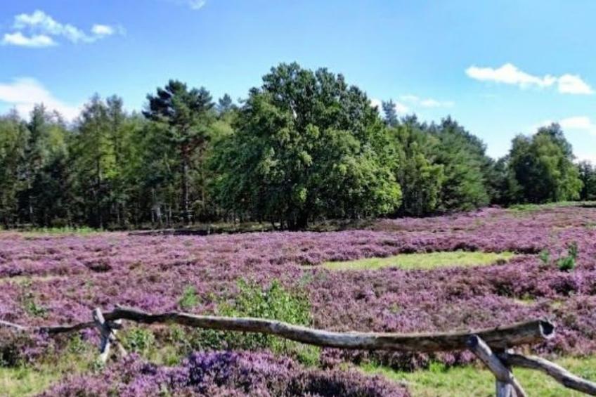 Haus-Fernblick - foto 29