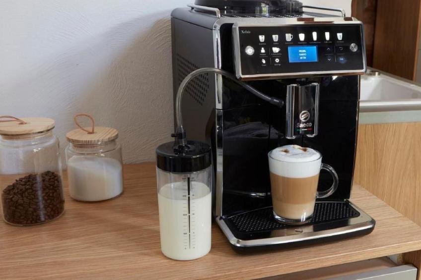 Olive Tree - foto 35