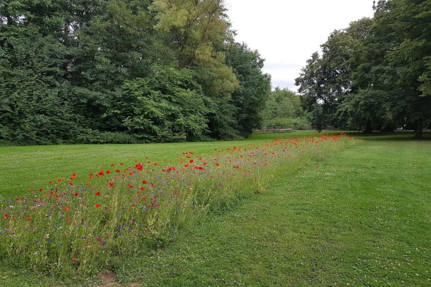 Mercure Hotel - Superior King Room - foto 31