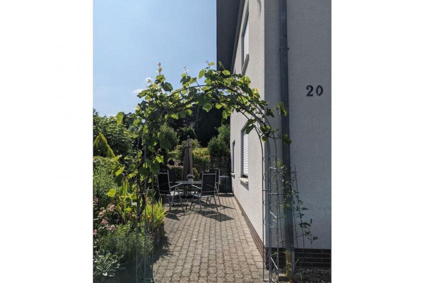 35883 - foto 3