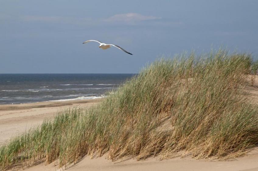Noordzee - foto 29