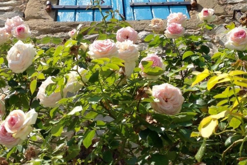 Haus mit Charakter in der Nähe von Uzès und den Cevennen - foto 10