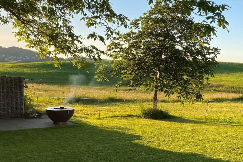 Bauernhof Sal - foto 19