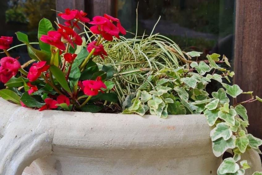 Von der Festung zum Meer" - Ihr Zuhause in San Leo - foto 22