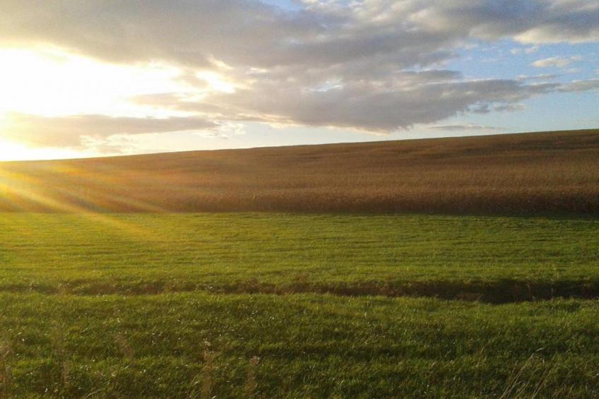 Ferme Remy - foto 34