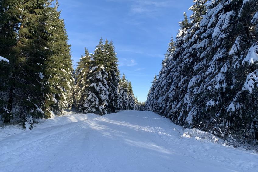Hautes Fagnes - foto 37