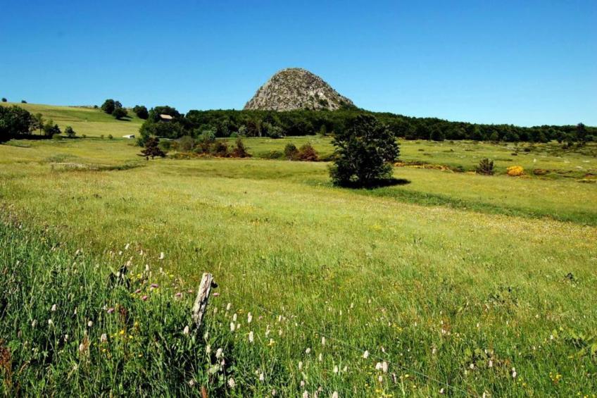 Maison de vacances - SAMPZON - foto 38