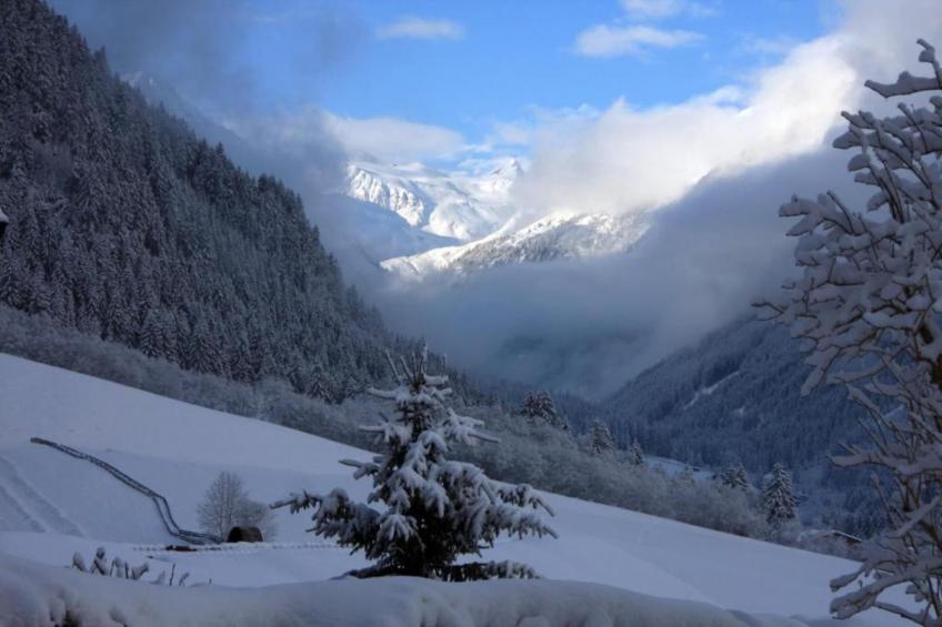 Apartment 19 - foto 20