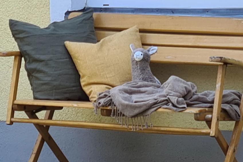 Kraxler Single - foto 12