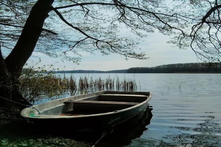 Nr4 Müritzsee 2 Personen - foto 34