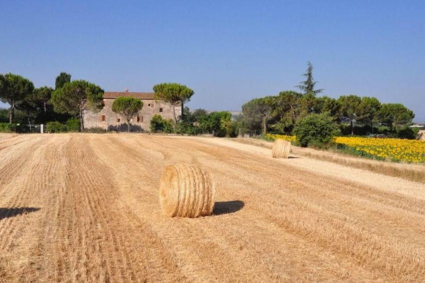 'Molinello albicocco' - foto 37