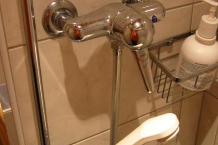 Maiensäss Cavadürli Appartement/Fewo, Dusche oder Bad, WC 5-Zimmerwohnung - foto 10