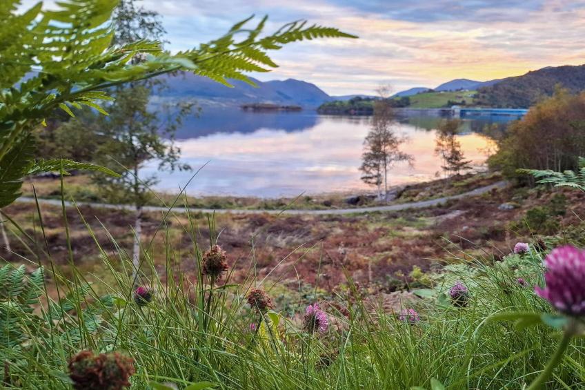 FJORDGLØTT - foto 18