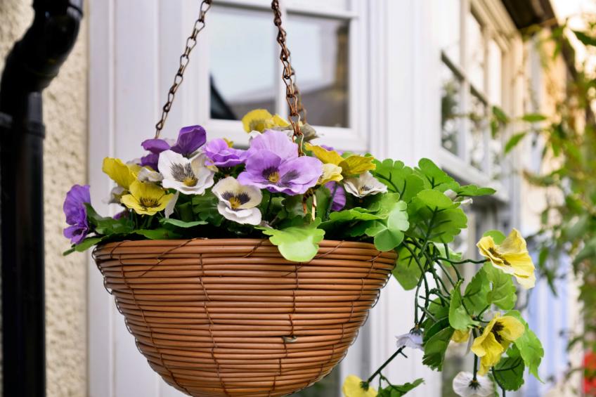 Penmaen House - foto 8