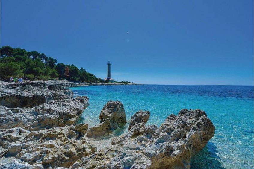 Gorgonia S2 - foto 26