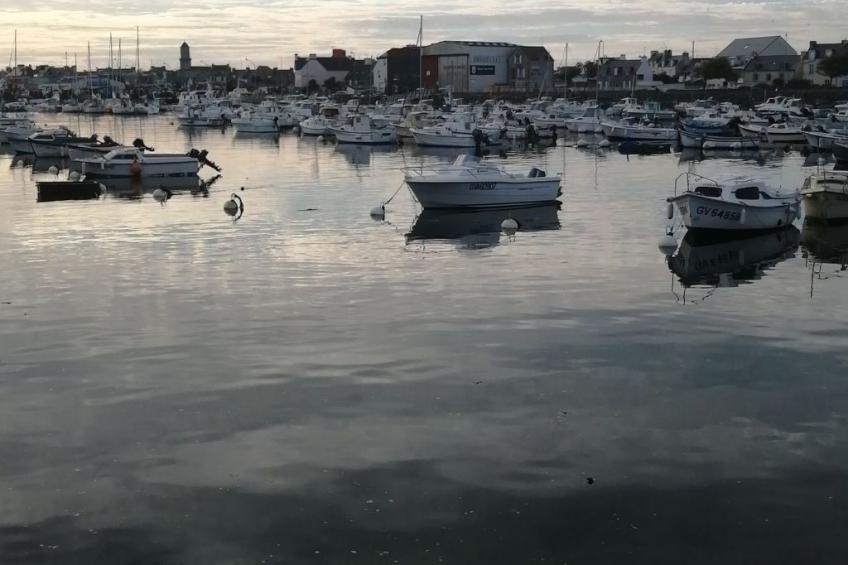 Bretagne Loctudy Haus Les Camélias 3 Personen - foto 31
