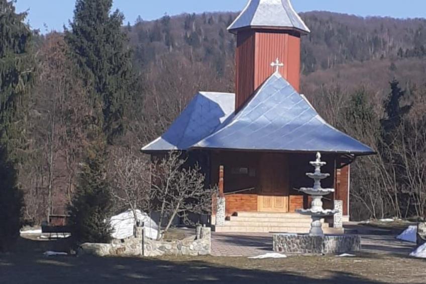 Vila Roberta Breaza Brasov - foto 29