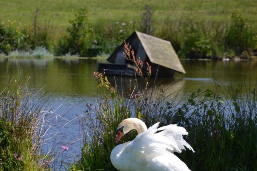 Idyllischer Landsitz mit Meerblick - foto 16