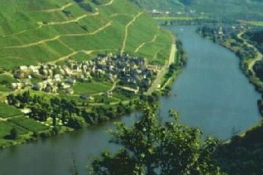 Altes Winzerhaus in Mesenich - foto 13