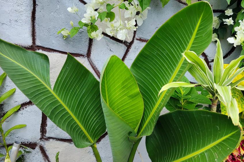 Studio 1 Ensuite mit privatem und unabhängigem Zugang - foto 9