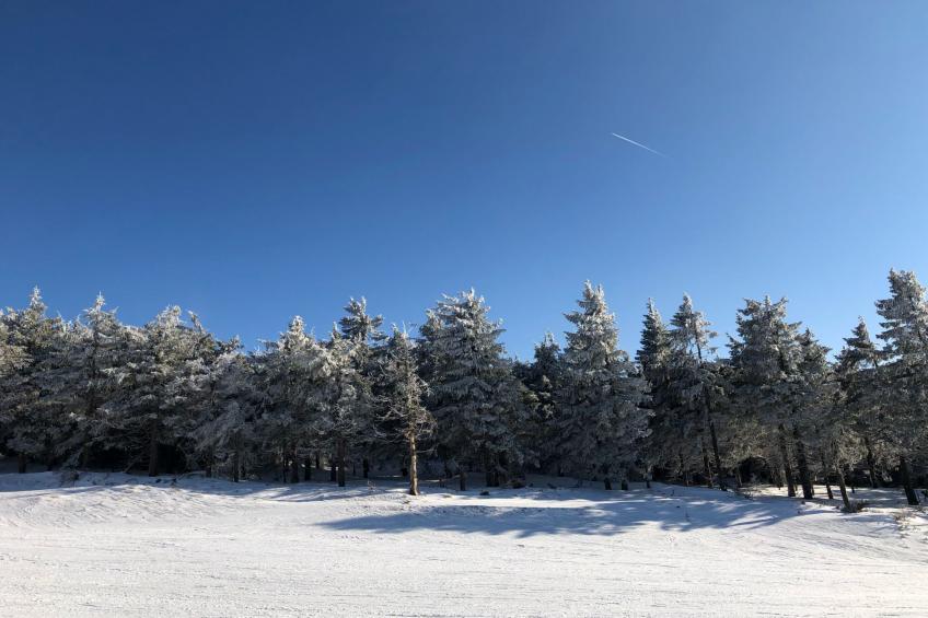George 01 - foto 36