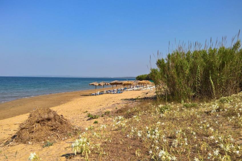 White Villas PPV - foto 29