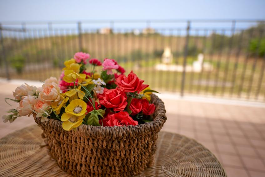 La casa del vino - foto 30