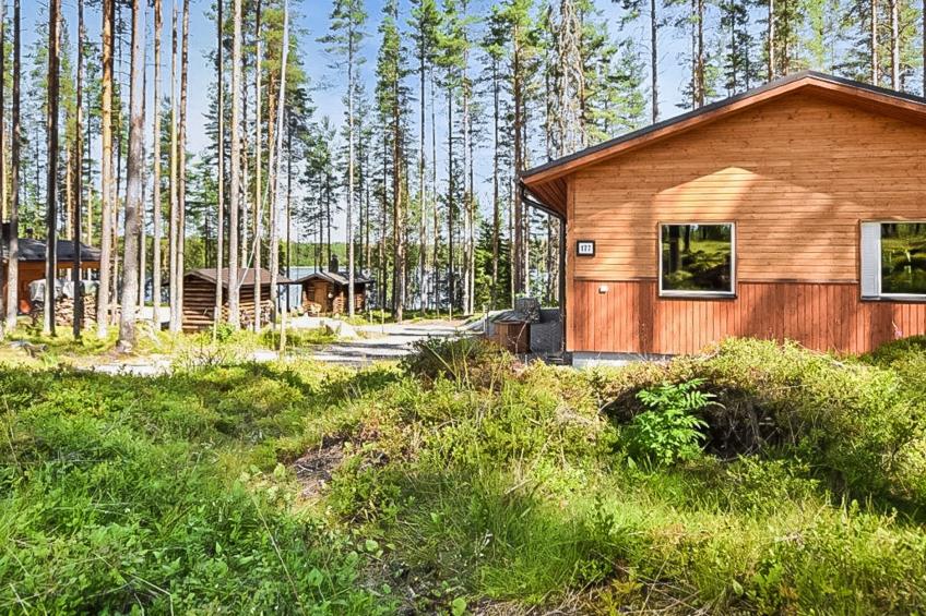 Lepovalkeinen - foto 25