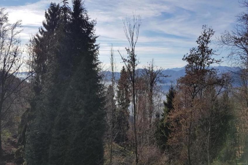 Casa Lamberti dei Pescatori - Terrazzo - foto 32