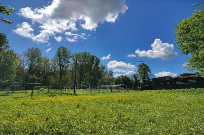 Villa Carpaneto - foto 33