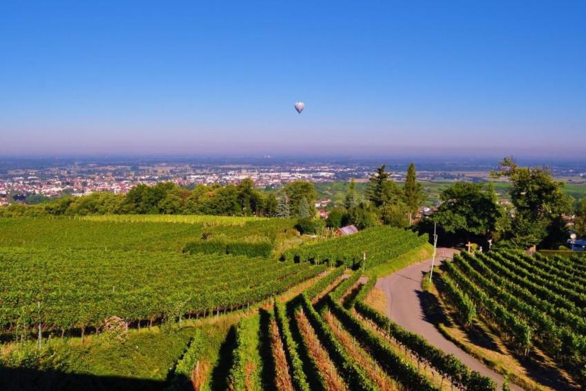 Traumwohnung - foto 50