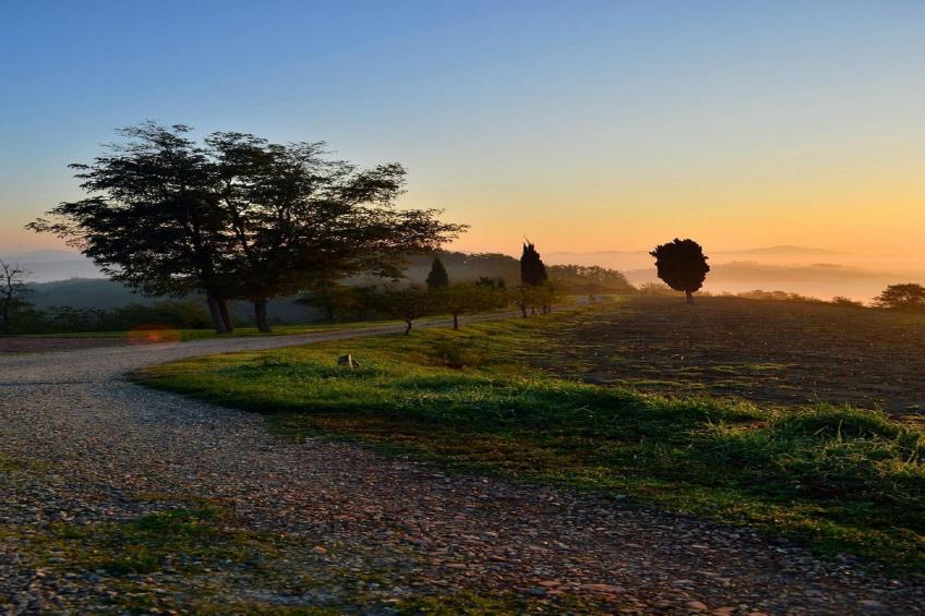 Piano Giardino - foto 21
